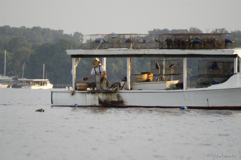 Crab Fisherman