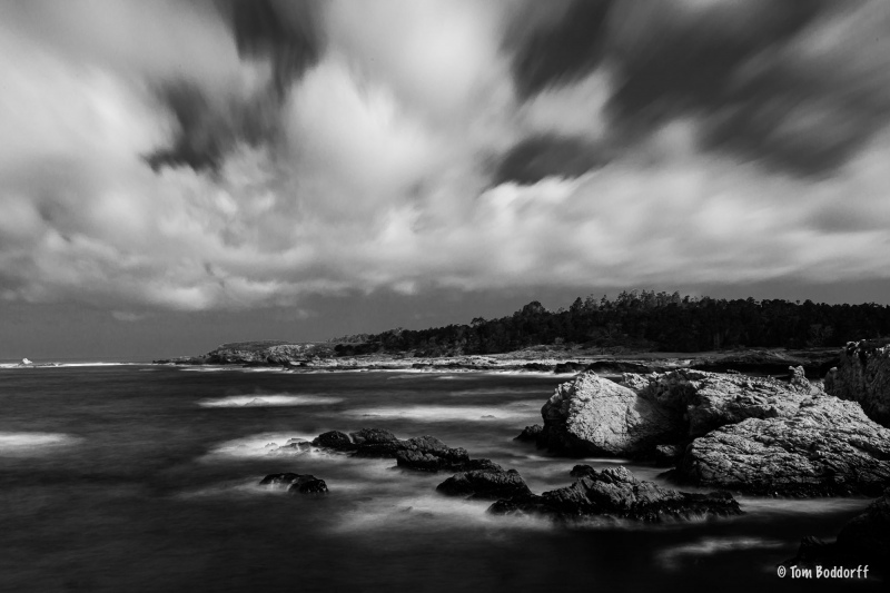 Point Lobos