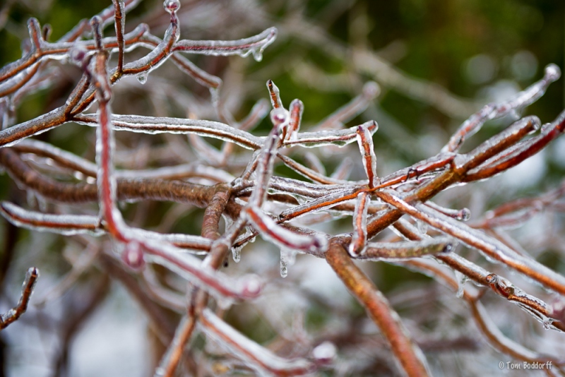 _DSC1775-Edit